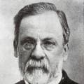 Louis Pasteur